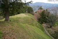 Kawamura12.jpg
