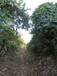 KitaKumai (35).JPG