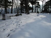 Kuniyoshijou (37).JPG