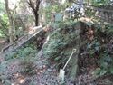 MikawaDoudojou (1).JPG