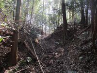 MikawaIwakuraYakata (3).jpg