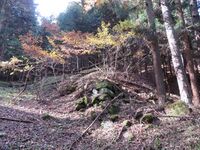 Miyaharajou (3).JPG