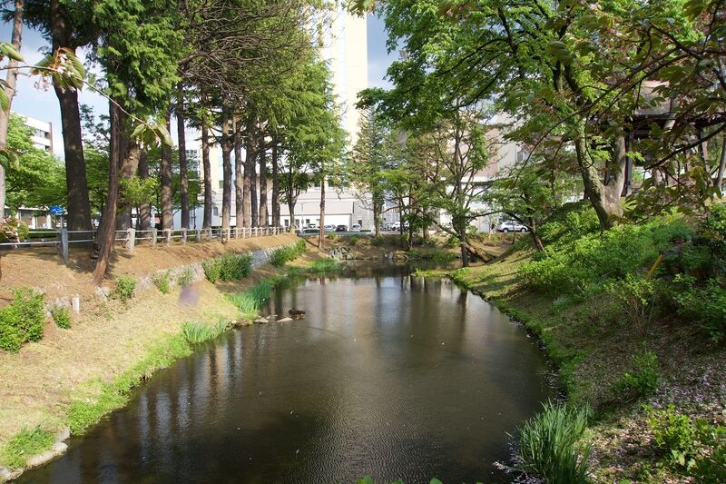 File:Morioka3.jpg