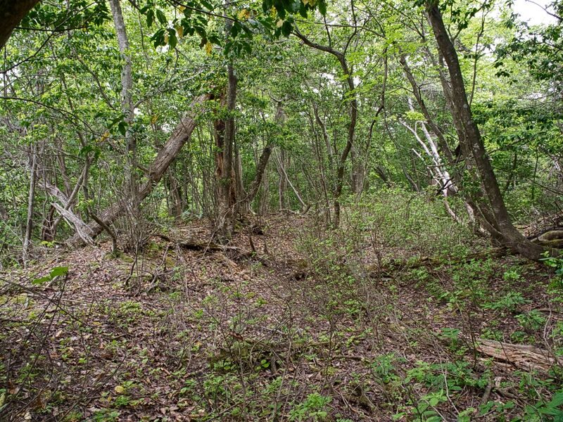 File:Tabeyama10.jpg