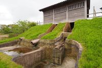 Akita24.jpg