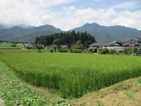AzumiShimizuYakata (11).JPG