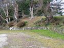 Hikone81.jpg