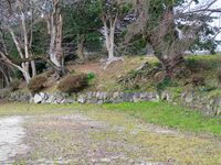 Hikone81.jpg