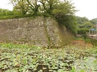 Kagoshima9.jpg