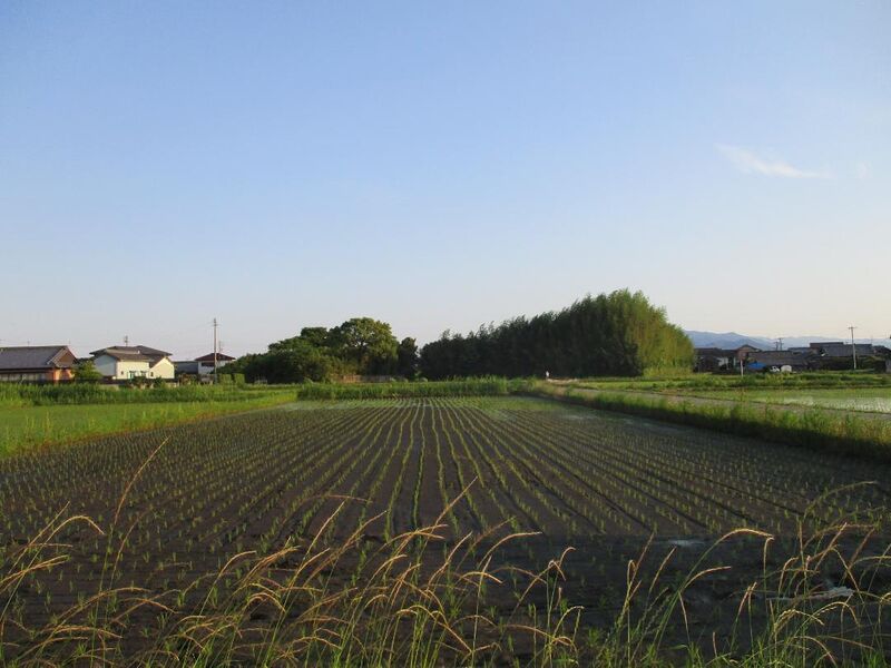 File:Kotsukurikojou (3).jpg