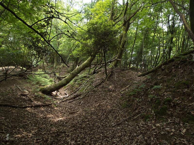 File:Nyoigatake19.jpg
