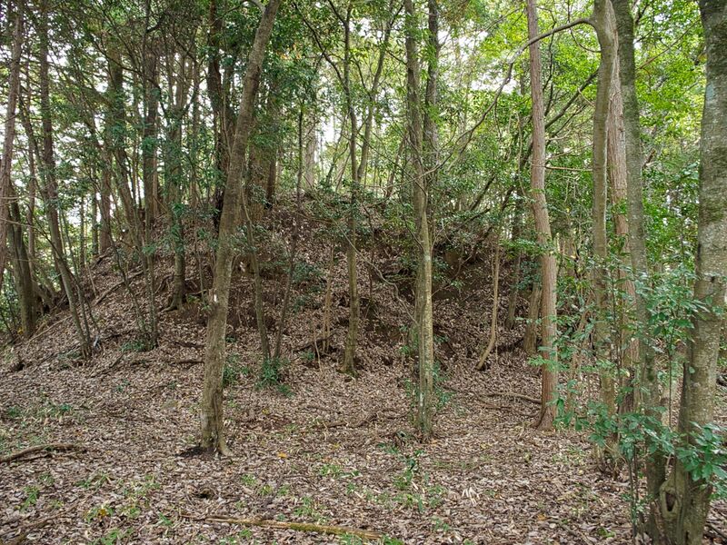File:Okudanitanba19.jpg