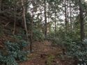 Tsubokasayama26.jpg