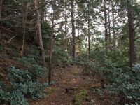 Tsubokasayama26.jpg