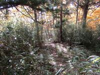 ChikumaNishijoujou (2).JPG