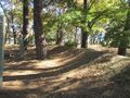 Thumbnail for version as of 15:40, 17 May 2024