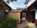 Hattorihikone4.jpg