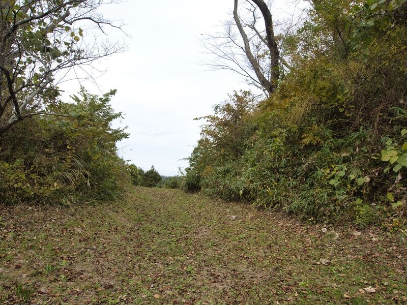 File:Iwakiri10.jpg