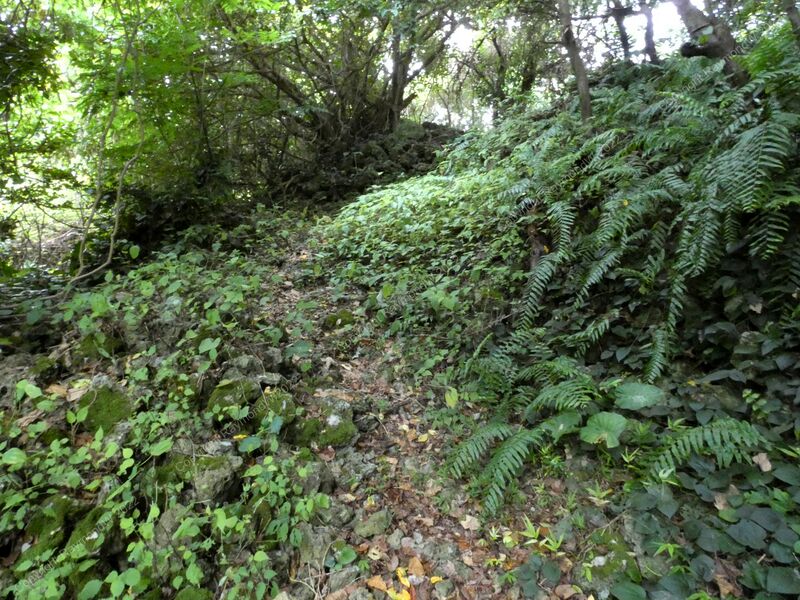 File:Komesu Castle Ray 4.jpg