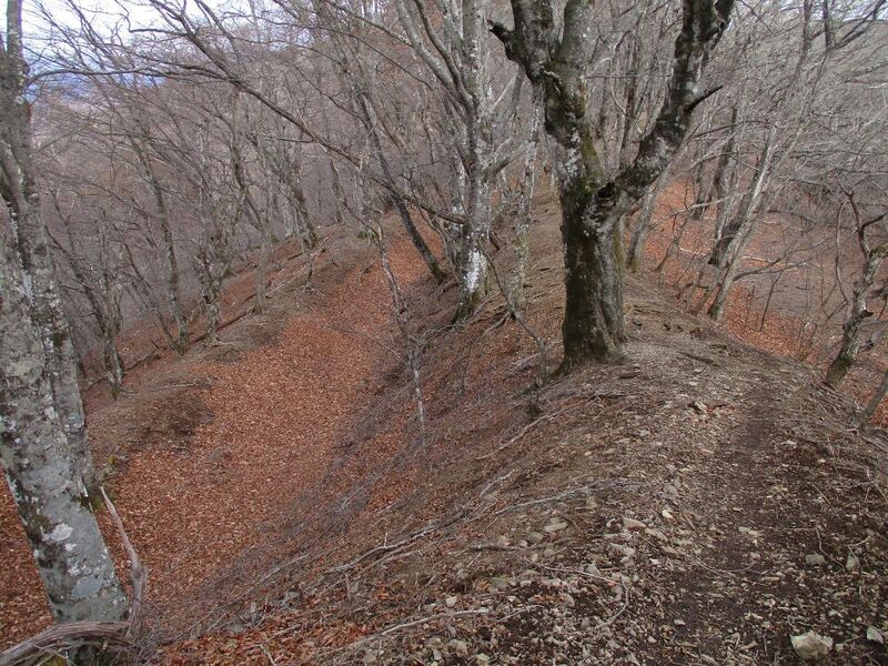 File:MisakajouB (1).jpg