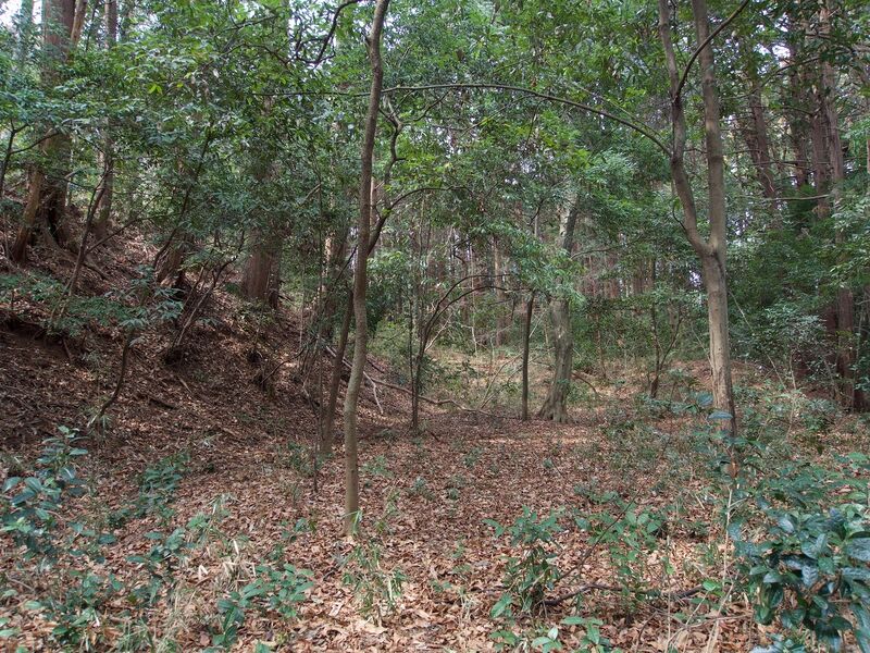 File:Nijojo6.jpg