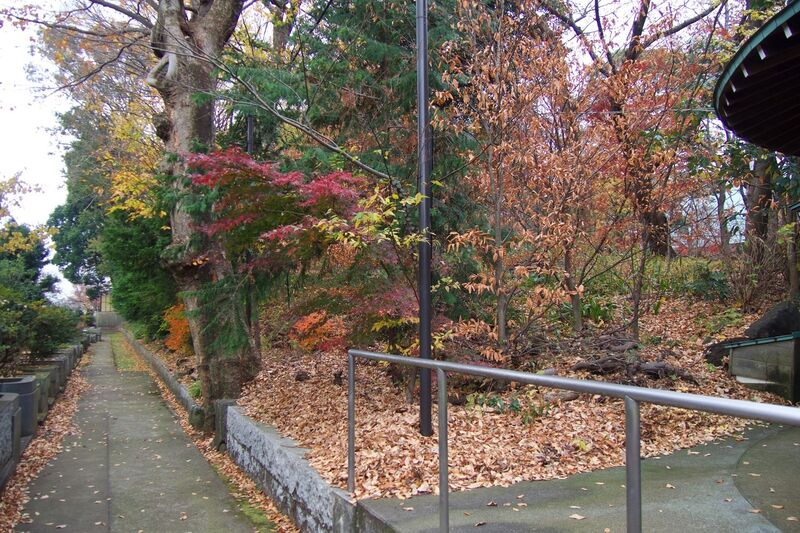 File:Okusawa1.jpg