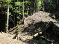 Thumbnail for version as of 06:25, 21 February 2024