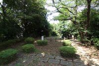 Hanawa4.jpg