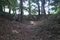 Thumbnail for version as of 13:25, 24 June 2017