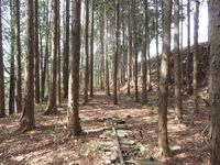 InaSuganumajou (9).JPG