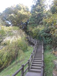IwakiTaira (2).JPG