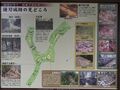 Thumbnail for version as of 13:14, 2 January 2023