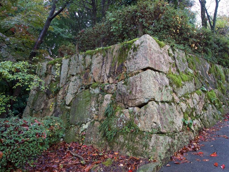File:Kamei7.jpg