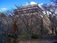 Kameyama2.jpg