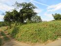 KitaKumai (9).JPG