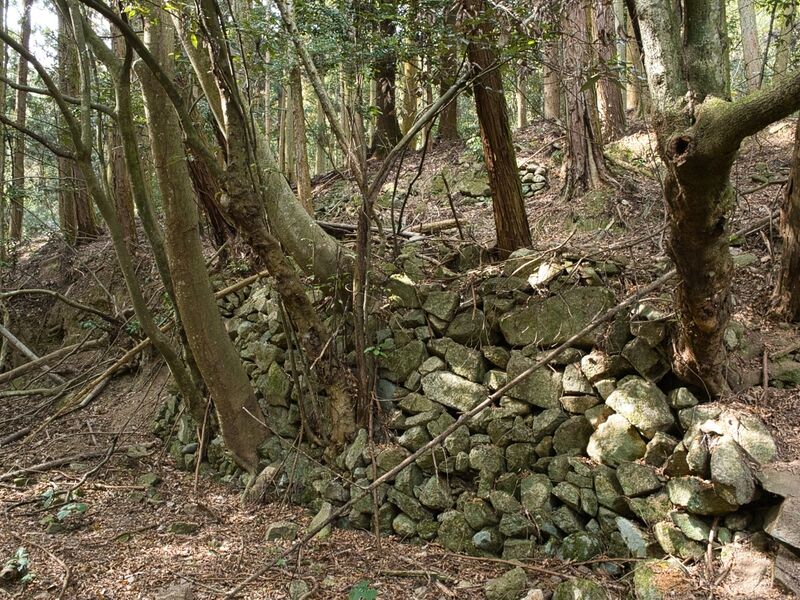 File:Kohyama22.jpg