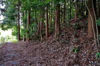 Migawa9.JPG