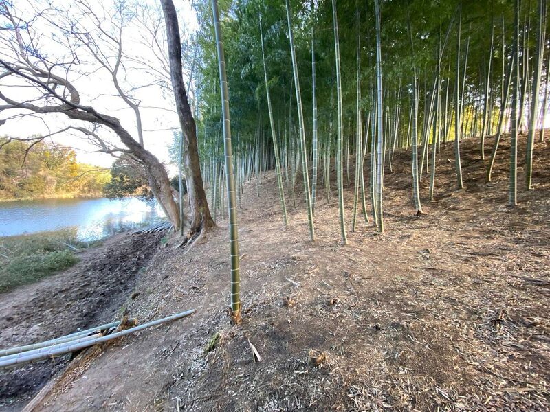 File:MikawaOkajouGlenn (8).jpg