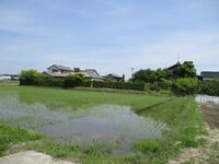 MikawaUrabejou (7).JPG
