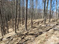 MinamiMajinojou (7).JPG