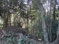 Murojou (10).jpg