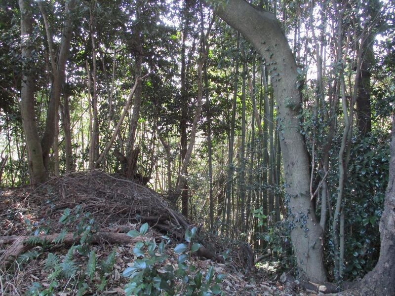File:Murojou (10).jpg