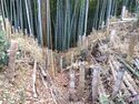 MusashiTobukijou (19).jpg