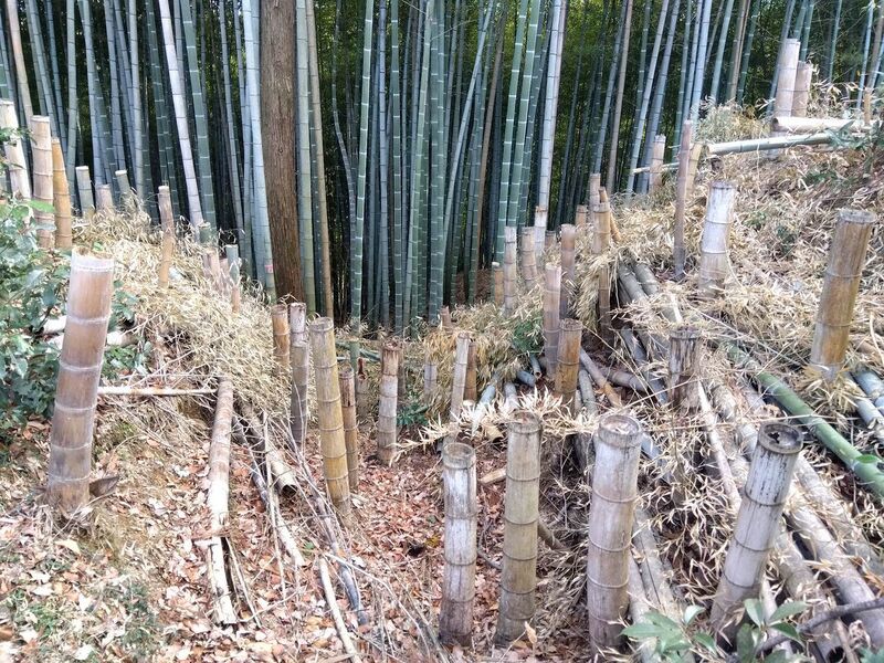 File:MusashiTobukijou (19).jpg