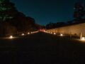 Thumbnail for version as of 23:46, 25 June 2022