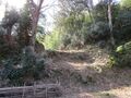 Thumbnail for version as of 17:59, 2 March 2021