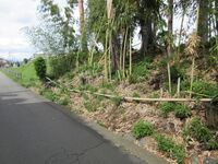 RenpouYashiki (6).JPG