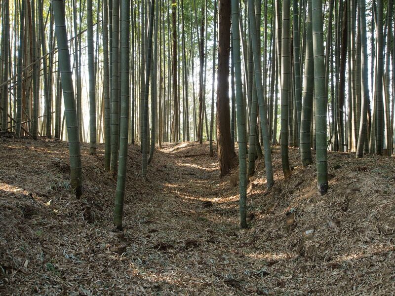File:Uchikoshikoka8.jpg