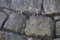 Thumbnail for version as of 13:34, 24 June 2017