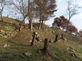 Thumbnail for version as of 08:38, 2 April 2023